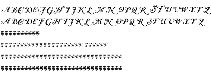 Fontin esikatselu Caslon Calligraphic Initials